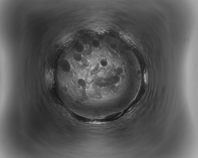 X0000087511347200704271115