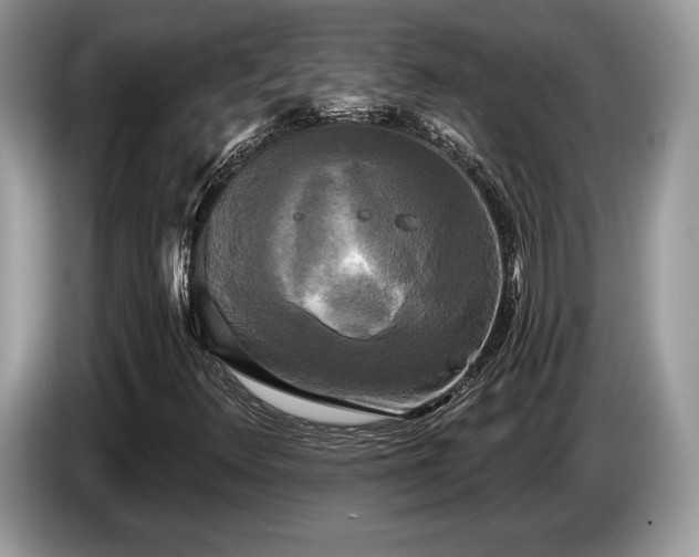 X0000087511348200704271115