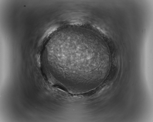 X0000087511351200704271115