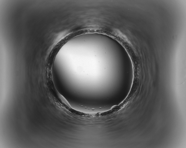 X0000087511352200704271115