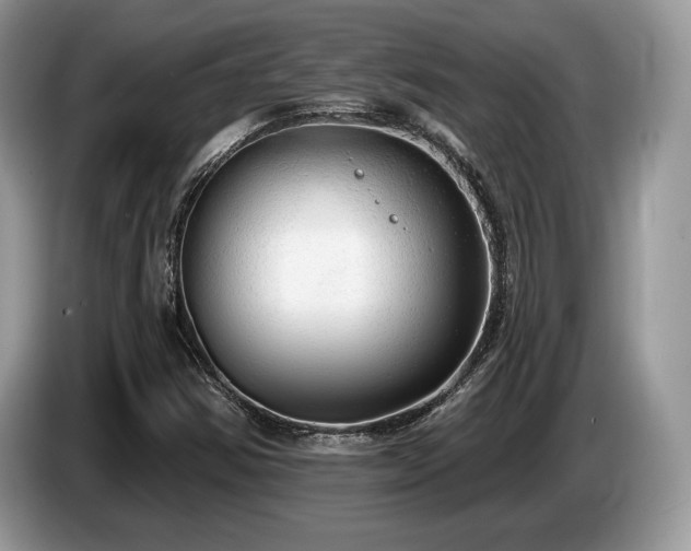 X0000087511354200704271115