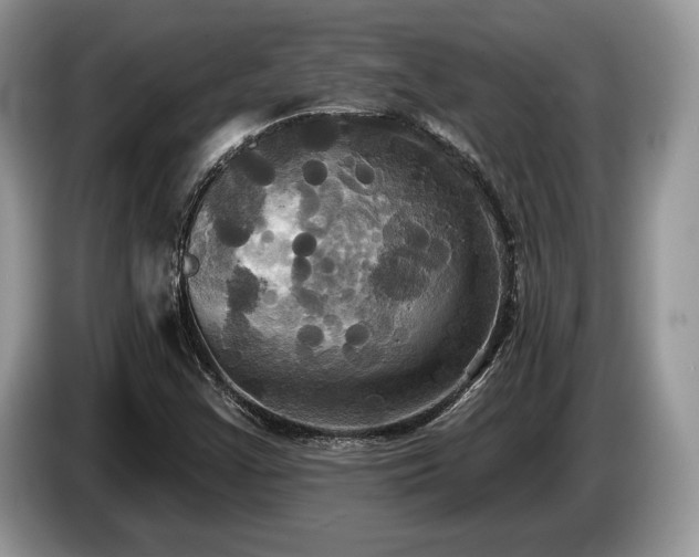 X0000087511355200704271115