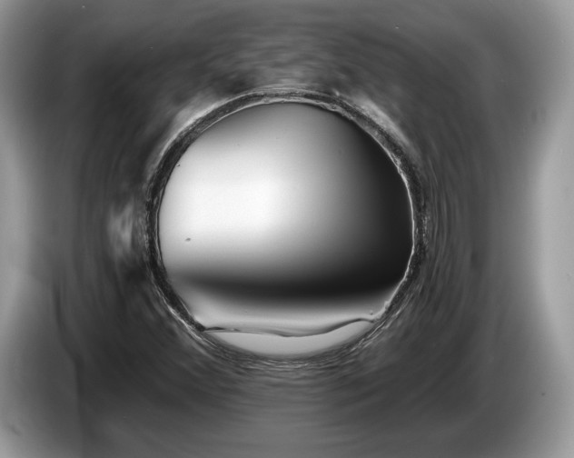 X0000087511356200704271115