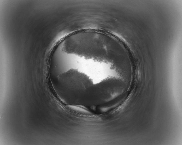 X0000087511359200704271115