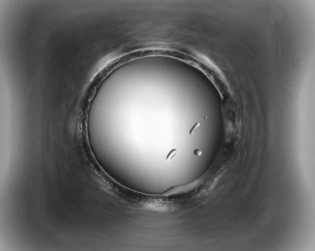 X0000087511360200704271115