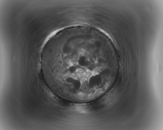 X0000087511363200704271115