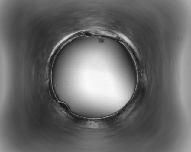 X0000087511364200704271115