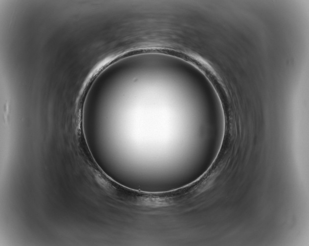 X0000087511366200704271115