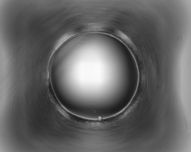 X0000087511370200704271115