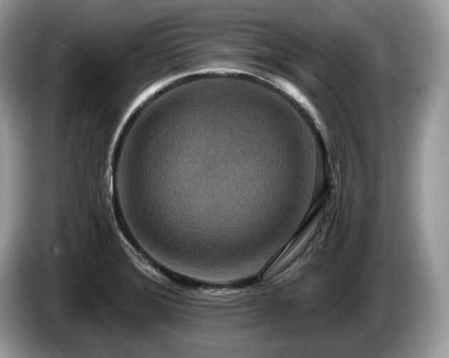 X0000087511372200704271115