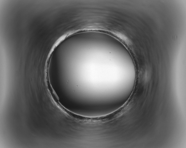 X0000087511374200704271115