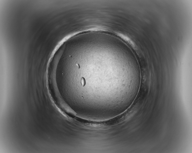 X0000087511375200704271115