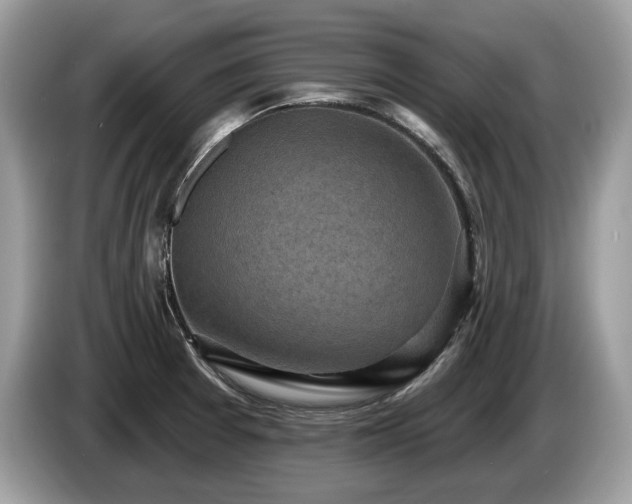 X0000087511377200704271115