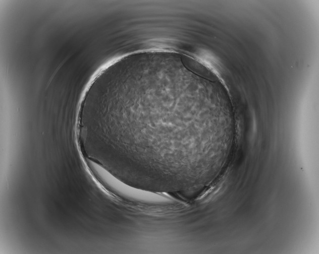 X0000087511379200704271115