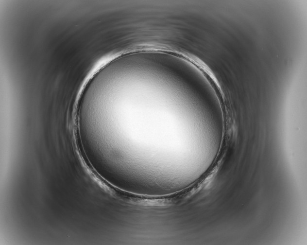 X0000087511381200704271115