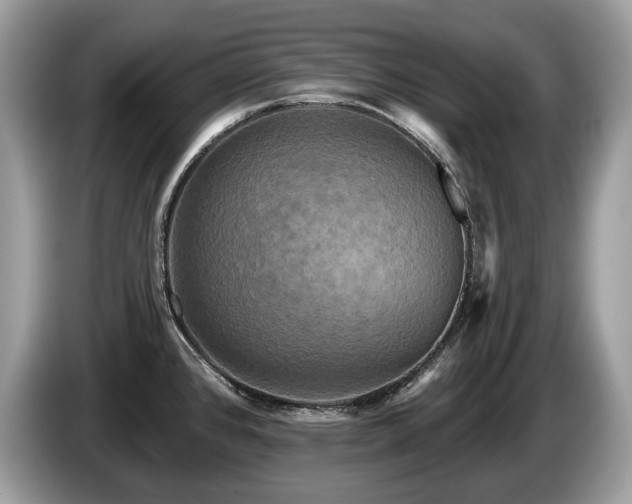 X0000087511384200704271115