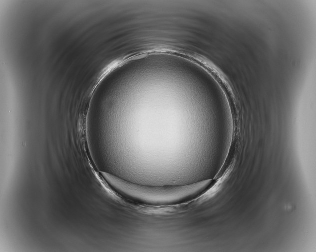 X0000087511385200704271115