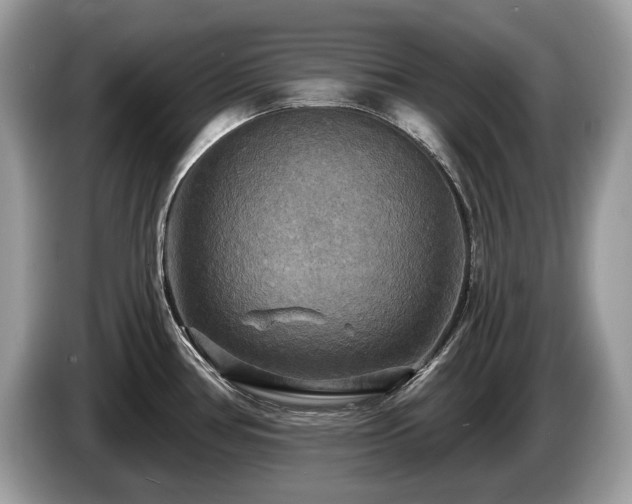 X0000087511386200704271115