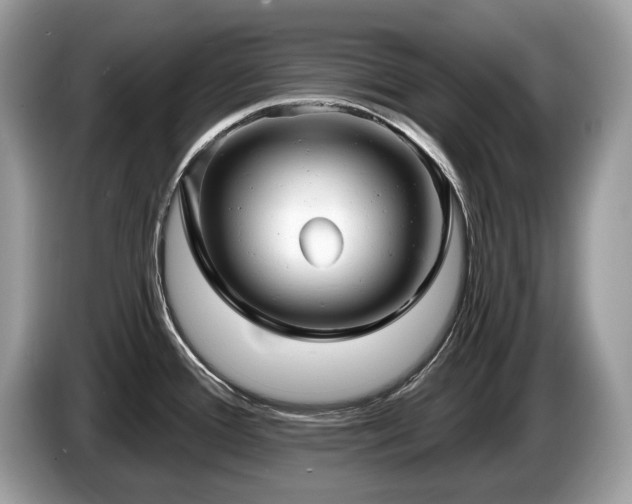 X0000087511388200704271115
