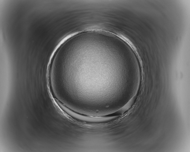 X0000087511392200704271115