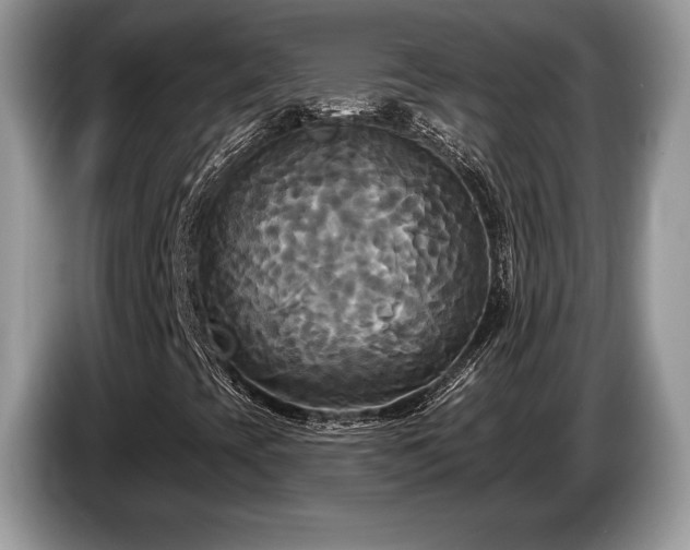 X0000087511393200704271114