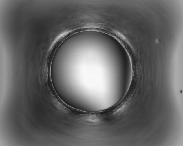 X0000087511408200704271114