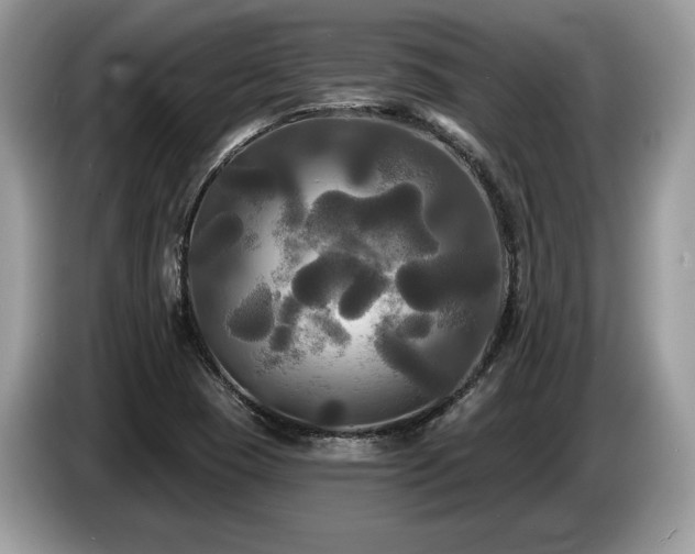 X0000087511409200704271114