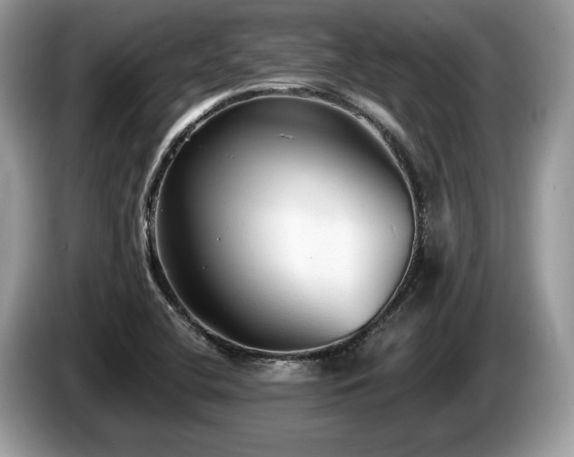 X0000087511412200704271114