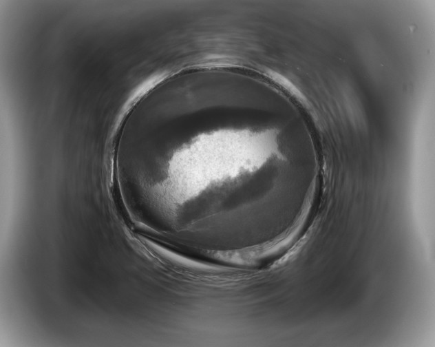 X0000087511413200704271114