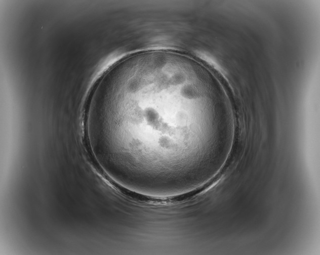 X0000087511415200704271114