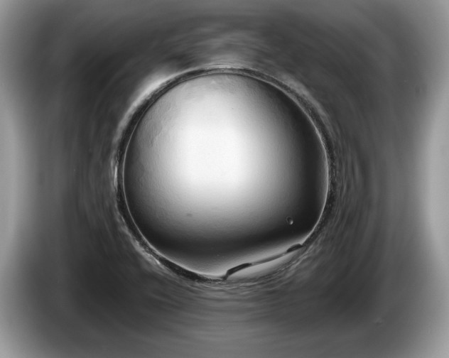 X0000087511416200704271114