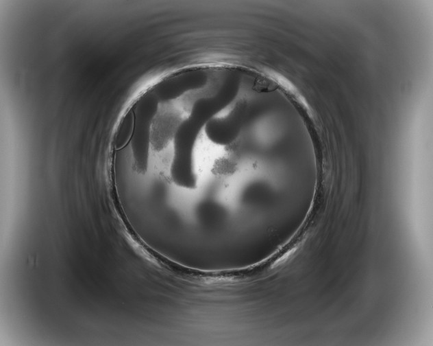 X0000087511421200704271115