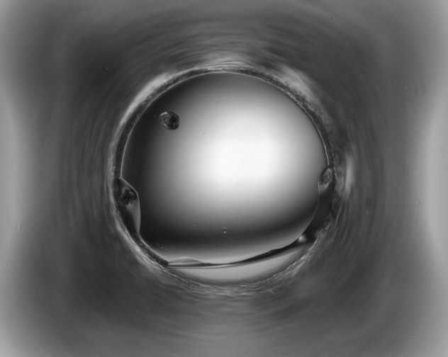X0000087511422200704271115