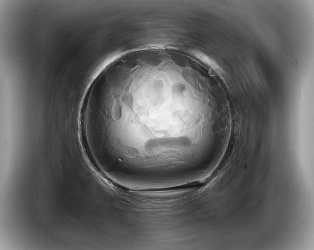 X0000087511423200704271115