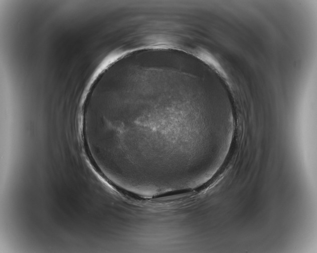 X0000087511424200704271115
