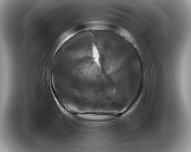X0000087511425200704271115