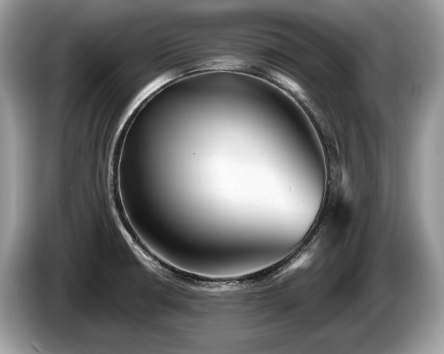 X0000087511426200704271115