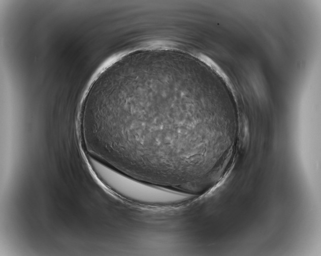 X0000087511429200704271115