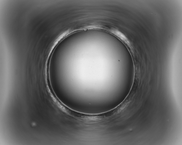 X0000087511431200704271115