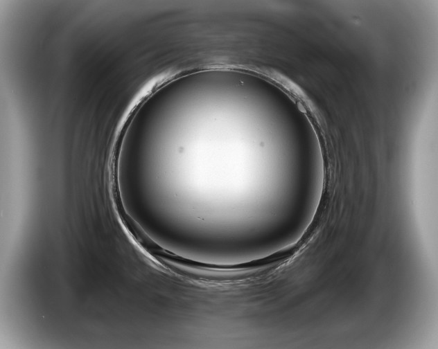 X0000087511432200704271115