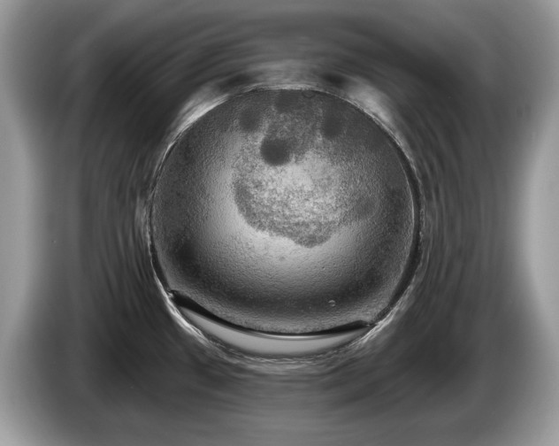X0000087511433200704271115