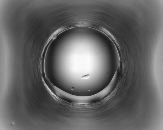 X0000087511434200704271115