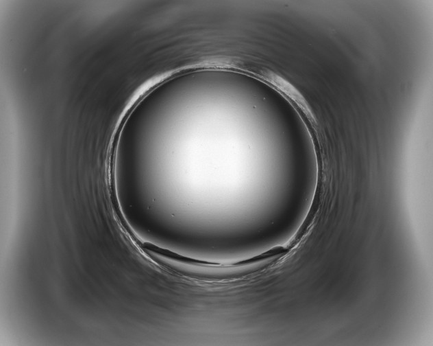 X0000087511436200704271115