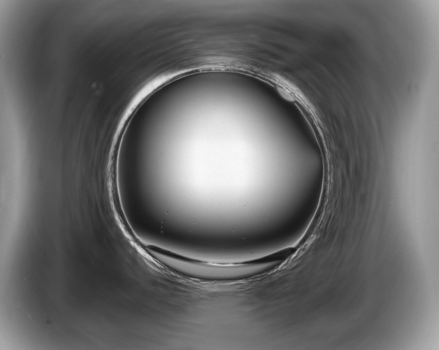 X0000087511440200704271115