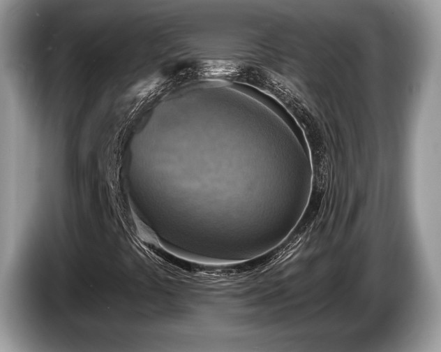 X0000087511441200704271114