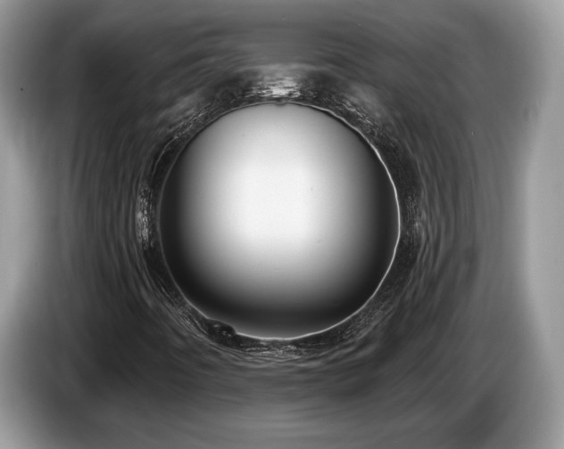 X0000087511442200704271114
