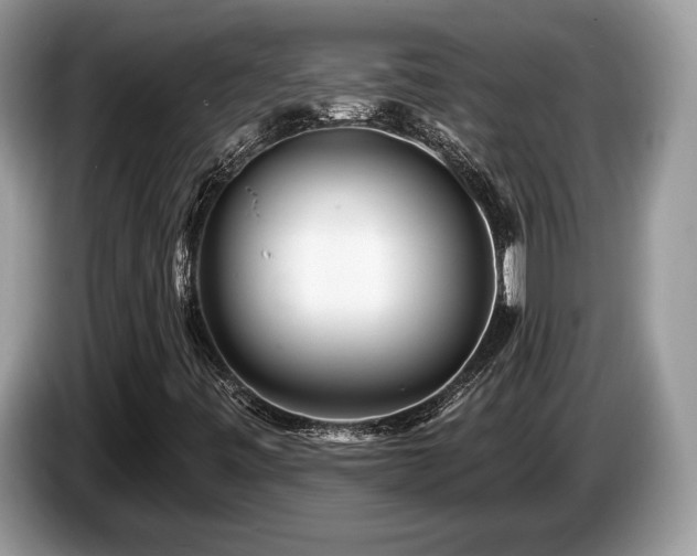 X0000087511443200704271114