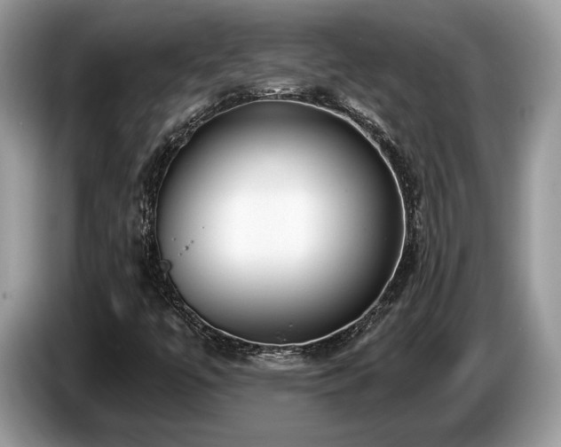 X0000087511447200704271114