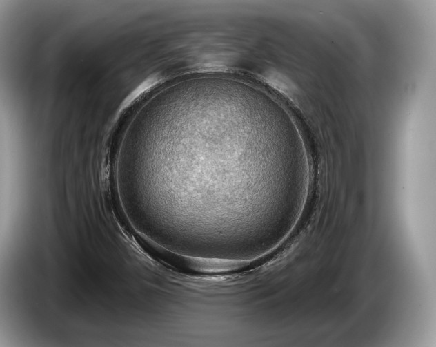X0000087511450200704271114