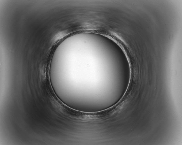 X0000087511451200704271114